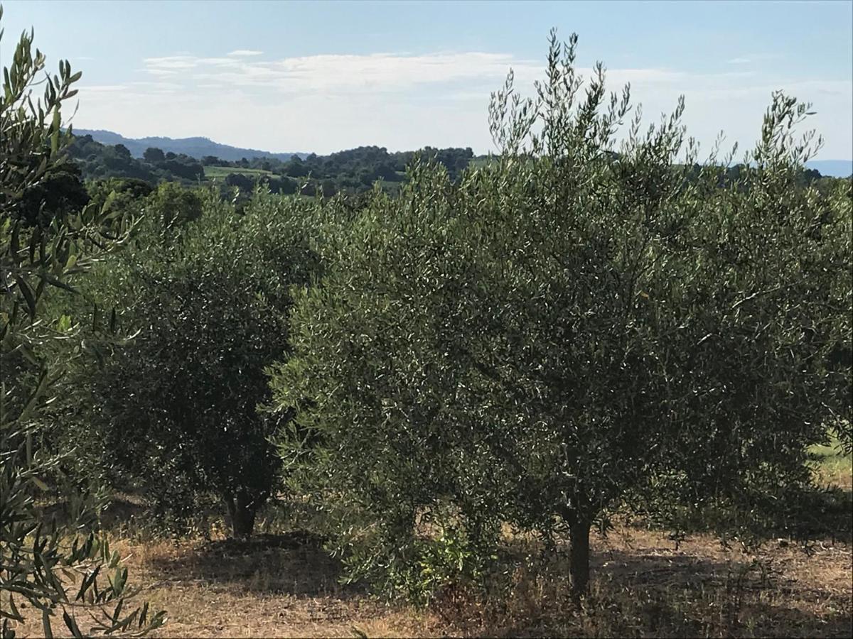Gite Au Coeur Du Pays Cathare Verzeille Buitenkant foto