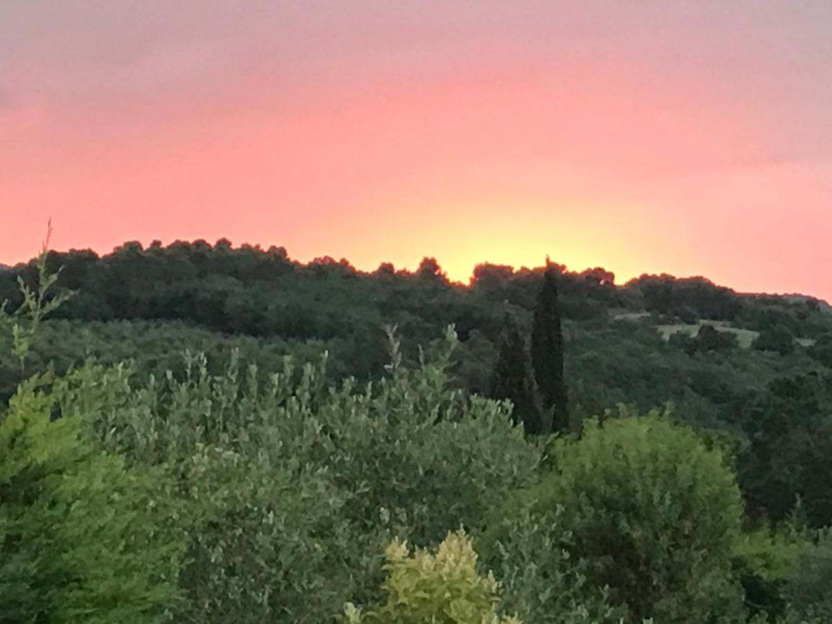 Gite Au Coeur Du Pays Cathare Verzeille Buitenkant foto